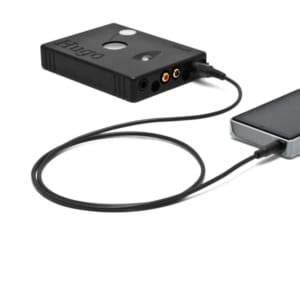 FiiO L21 .